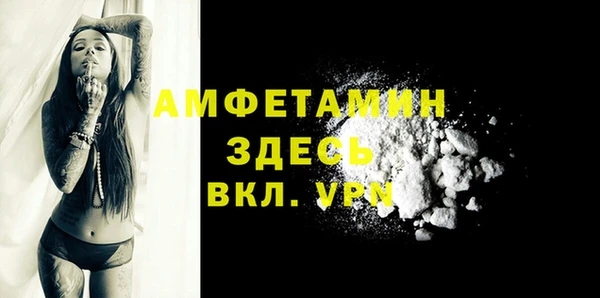 спиды Богданович