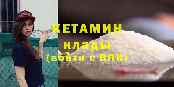 спиды Богданович
