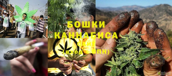 спиды Богданович
