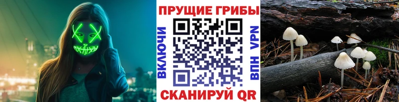 Псилоцибиновые грибы Magic Shrooms Симферополь